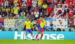 世界杯最新爆料信息大全,精彩瞬间与幕后故事大盘点